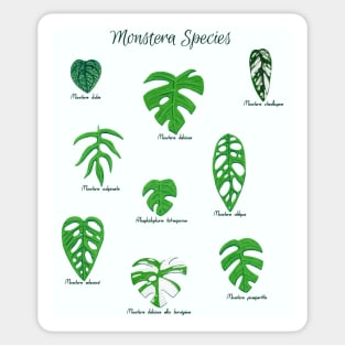 Monstera Species with Labels Sticker